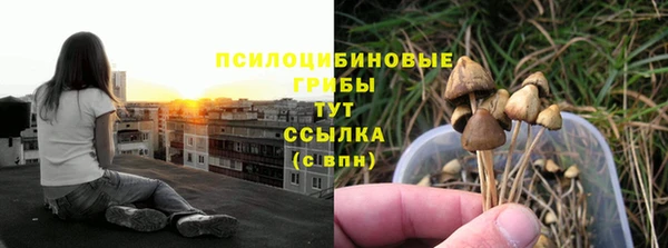 PSILOCYBIN Богородицк
