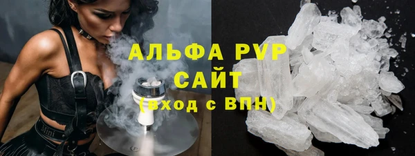сатива Богданович