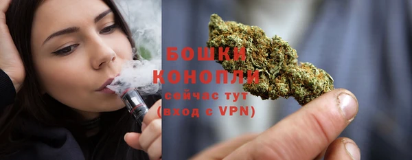 сатива Богданович