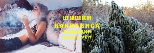 сатива Богданович