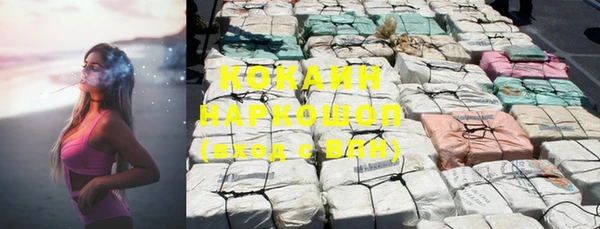 сатива Богданович