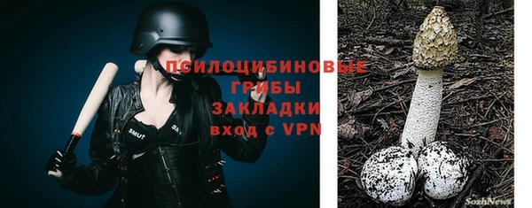 прущий лед Богородск