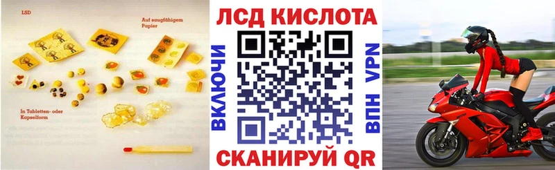 как найти закладки  Светогорск  гидра зеркало  ЛСД экстази ecstasy 